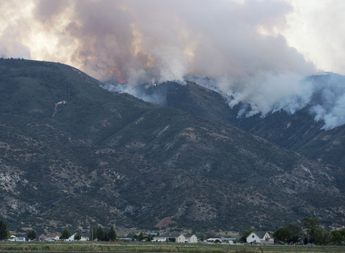 Steve Griffin  |  The Salt Lake Tribune


A wildfire burns in the mountains above Levan, Utah Thursday, July 24, 2014.
