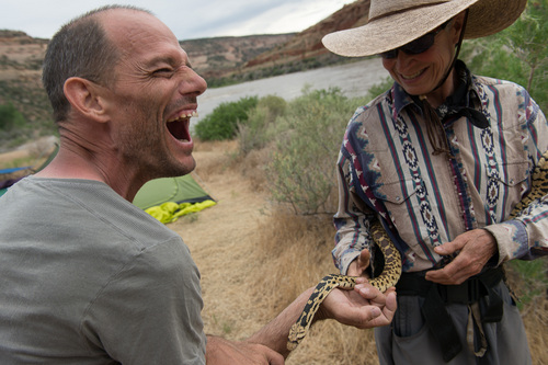 Francisco Kjolseth  |  The Salt Lake Tribune
Kenneth Robertson enjoys his close encounter with a gopher snake found by Nancy Orr, a longtime river guide and volunteer with SPLORE during a recent three-day float trip down the Colorado River.