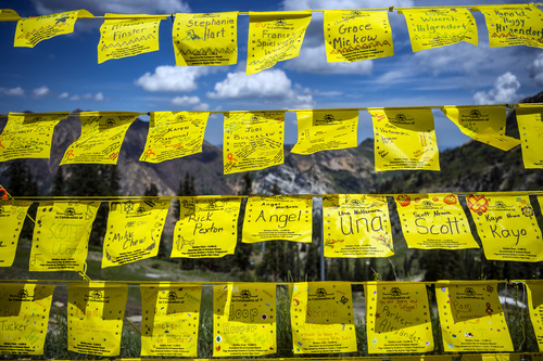 Chris Detrick  |  The Salt Lake Tribune
About 1,000 tribute flags fly in celebration of those who have been affected by cancer during the 18th annual Survivors at the Summit Celebration of Life Ceremony at the top of Peruvian Gulch at Snowbird Saturday August 2, 2014. Survivors at the Summit is an annual event benefitting the Cancer Wellness House.