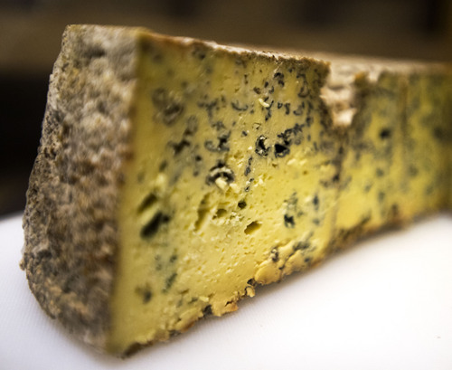 Steve Griffin  |  The Salt Lake Tribune

High West Blue cheese from Gold Creek Farms in Kamas Friday, Aug. 1, 2014.