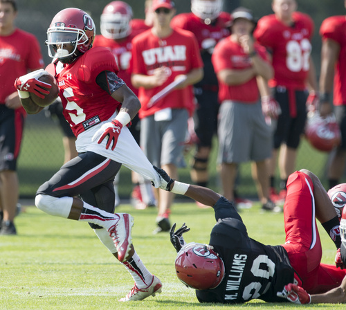 Rick Egan  |  The Salt Lake Tribune

Marcus Williams (20) tries to bring down, Dominique Hatfield (15) during the University of Utah football practice, Saturday, August 9, 2014