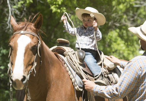 Rick Egan  |  The Salt Lake Tribune

Butch Jensen's grandson, Jax Christensen, sits on a horse during a break, on a cattle drive from the desert lowlands to the high mountain pastures of the Tavaputs Plateau, Saturday, June 14, 2014.