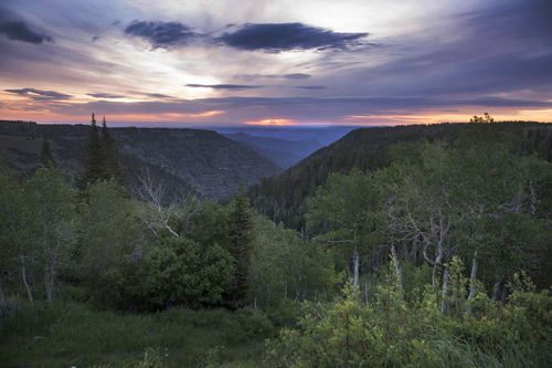 Rick Egan  |  The Salt Lake Tribune

An evening view of Desolation Canyon on the Tavaputs Plateau, Saturday, June 14, 2014