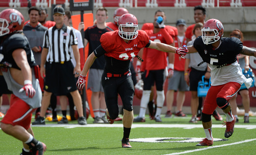 Francisco Kjolseth  |  The Salt Lake Tribune
Ryan Petersen works to stay in the play as the University of Utah football team holds practice at Rice-Eccles Stadium on Tuesday morning, Aug. 12, 2014.