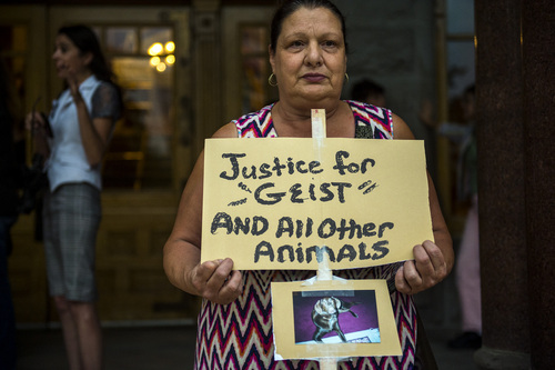 Chris Detrick  |  The Salt Lake Tribune
Coleen Salinas, of Salt Lake City, attends a Justice for Geist rally outside of City Hall Tuesday August 12, 2014.  Salt Lake City police Officer Brett Olsen shot Geist on June 18 during a search for a missing 3-year-old boy, who was later found asleep in his own basement.