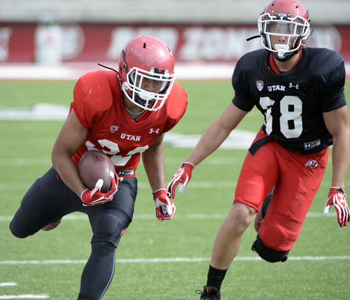 Al Hartmann  |  The Salt Lake Tribune 
Former Granger High School standout running back Tani Lehauli makes a run during the University of Utah's football camp Wednesday August 13, 2014.  He is a walk-on for the Utes.