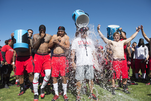 Rick Egan  |  The Salt Lake Tribune

Kenneth Scott and Dres Anderson and Andy Phillips (far right) await their turn as Utah head coach Kyle Whittingham (center) has ice water poured on his head as part of the Ice Bucket Challenge, to raise awareness for ALS, Friday, August 15, 2014