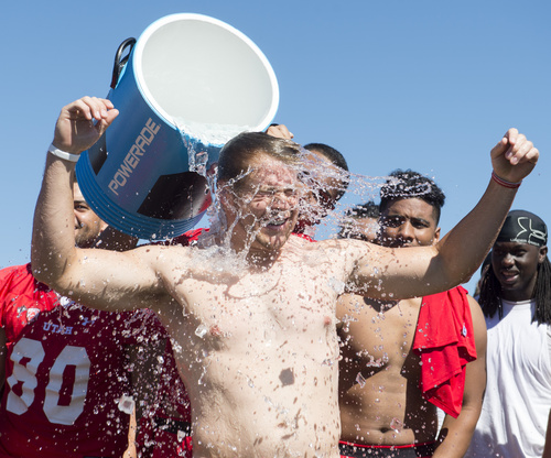 Rick Egan  |  The Salt Lake Tribune

Utah Kicker, Andy Phillips, has ice water poured on his head as part of the Ice Bucket Challenge, to raise awareness for ALS, Friday, August 15, 2014