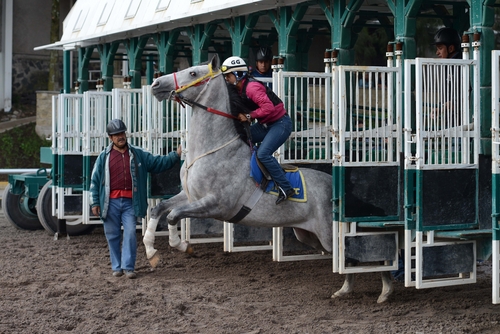In This July 15 2014 Photo Elizabeth Garrido 27 Takes The Horse