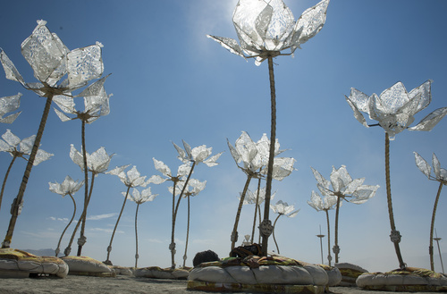 Rick Egan  |  The Salt Lake Tribune

"Pulse and Bloom" at the Burning Man Festival in the Black Rock Desert 100 miles north of Reno, Nev., on Thursday.