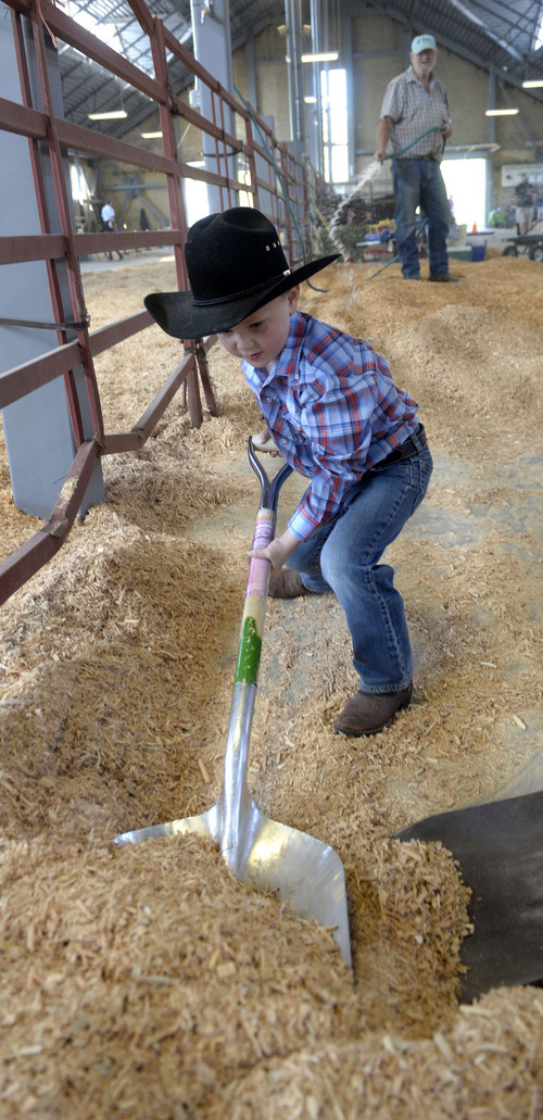 Al Hartmann  |  The Salt Lake Tribune
Brennen Cluff, 6, puts his back into his work on Thursday at the opening of the Utah State Fair, shoveling wood chips to prepare the pens for his "CD's Mini's," which specialize in Dexter Cattle, the smallest breed of cattle.