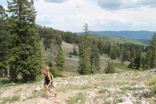 Jessica Miller  |  The Salt Lake Tribune

Hiker Shalee Schreifels hikes the Naomi Peak Trail in Logan Canyon, August 3, 2014.