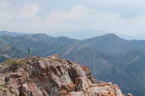 Jessica Miller  |  The Salt Lake Tribune

Hiker Kelly Miller at the top of Naomi Peak in Logan Canyon, August 3, 2014.