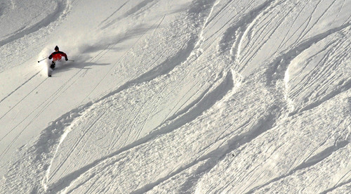 Steve Griffin | The Salt Lake Tribune
Fresh waist deep powder was there for the takiing today as Alta ski resort opened for the sesaon. Here a skier carves their way down from the top of Wildcat run.