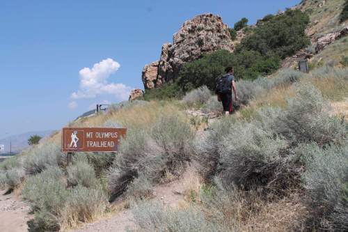 Jessica Miller  |  The Salt Lake Tribune 

Hiker Kelly Miller at the trailhead of thhe Mount Olympus Trail. Aug. 10, 2014.
