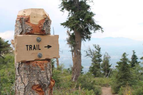 Jessica Miller  |  The Salt Lake Tribune 

A newly-erected sign on the Mount Olympus Trail, Aug. 10, 2014