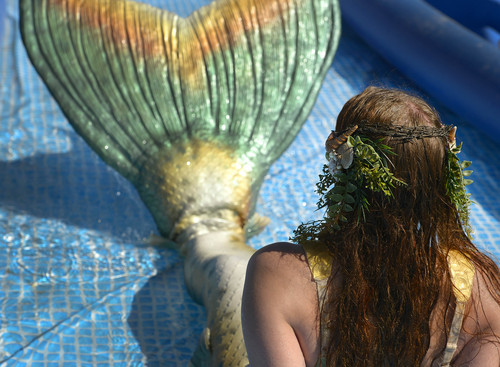 Leah Hogsten  |  The Salt Lake Tribune
Mermaid "Queen of the Summer" Thalassa cools off in the wading pool for her and her siren friends at the 4th Annual Utah Pirate Festival during the Utah Renaissance Festival and Fantasy Fair site located at 3105 West Pioneer (400 North) Road, Marriott-Slaterville, September 12, 2014.