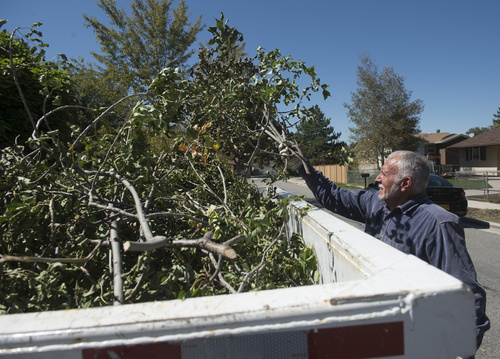 Rick Egan  |  The Salt Lake Tribune
Barrie Rufi, throws some branches into the Wasatch Front Waste and Recycling District bin in White City last week.