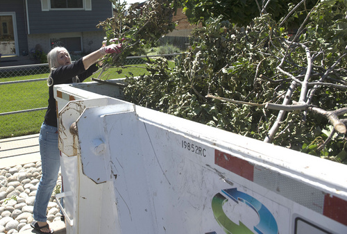 Rick Egan  |  The Salt Lake Tribune

Judith Rufi, throws some branches into the Wasatch Front Waste and Recycling District bin in White City,  Thursday, September 11, 2014.
