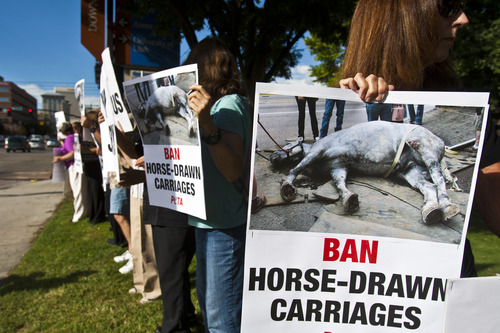 Chris Detrick  |  The Salt Lake Tribune
People hold signs during a vigil for Jerry the horse put on by Utah Animal Rights Coalition outside of the Salt Lake City and County Building Tuesday August 27, 2013.  Jerry, a 13-year-old horse died on Friday, about a week after he collapsed while pulling a carriage in downtown Salt Lake City.