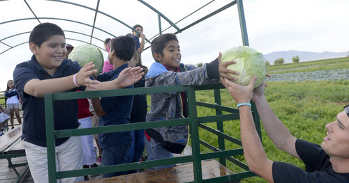 Al Hartmann  |  The Salt Lake Tribune
Fourth grade students from Backman Elementary School in Salt Lake City feel the weight of a just picked cabbage at Black Island Farm in Syracuse Tuesday September 16.  The field trip was to help them learn where their food comes from.  Students picked pumpkins, took a wagon ride through the farm , learned about farm animals and explored the corn maze.