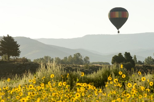Rick Egan  |  The Salt Lake Tribune

A balloon floats in the air near Eden, Utah, as part of the Ogden Valley Balloon & Artist Festival, Saturday, August 16, 2014.
