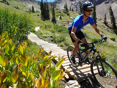Francisco Kjolseth  |  The Salt Lake Tribune
Snowbird Ski and Summer Resort opened the new Big Mountain biking trail this July. Riders can take the tram up and bike down 7.9 miles, dropping more than 2,900 vertical feet.