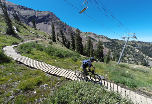 Francisco Kjolseth  |  The Salt Lake Tribune
Snowbird Ski and Summer Resort opened the new Big Mountain biking trail this July. Riders can take the tram up and bike down 7.9 miles, dropping more than 2,900 vertical feet.