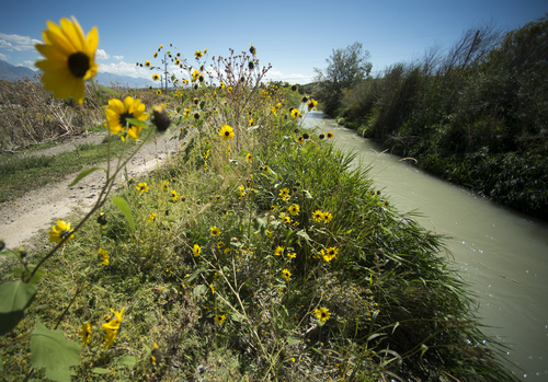 Rick Egan  |  The Salt Lake Tribune

Water runs in the Welby water district canal in Bluffdale, Wednesday, September 17, 2014