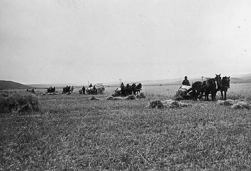 A Look Back: Harvest time in Utah - The Salt Lake Tribune