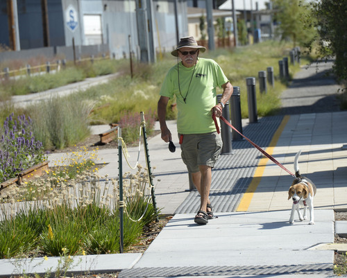 Al Hartmann  |  The Salt Lake Tribune
Man walks his dog along the greenway path for the grand opening of  Utah's first ever multi-modal recreation corridor September 19 near the 600 East South S-Line crossing. 
The S-Line Greenway is a mile-long green space from 500 East to McClelland Street that includes the S-Line streetcar, public plazas, art, walking paths, a bocce court and a new segment of Parley's Trail.