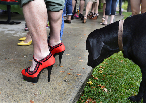 Scott Sommerdorf   |  The Salt Lake Tribune
A black Labrador checked out the red heels of a member of the Summitt County Sheriff's SWAT team at the second annual "Walk a Mile in Her Shoes® Park City" in Park City, Sunday, September 21, 2014.
