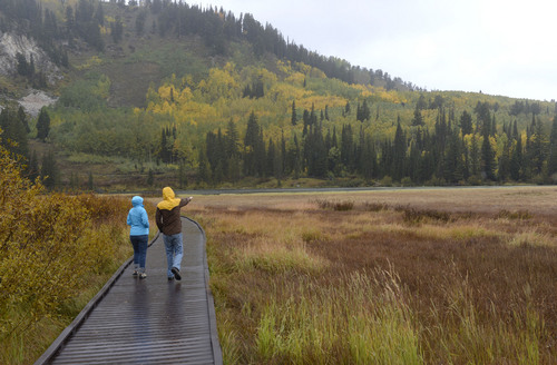 Al Hartmann  |  The Salt Lake Tribune
People brave a cold rain Sunday September 21 to see the autumn leaves in full splendor at Silver Lake in Big Cottonwood Canyon