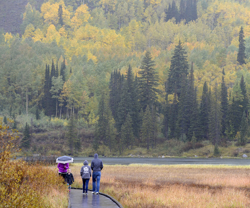 Al Hartmann  |  The Salt Lake Tribune
People brave a cold rain Sunday September 21 to see the autumn leaves in full splendor at Silver Lake in Big Cottonwood Canyon