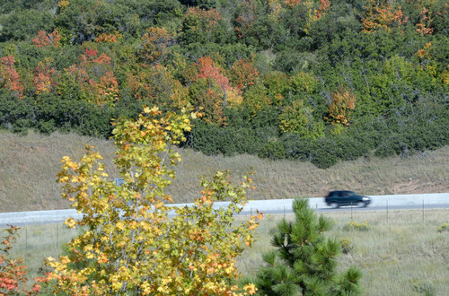 Al Hartmann  |  The Salt Lake Tribune
A car climbs to the top of Parleys Canyon along I-80 as maple and scrub oak begin to turn gold and red Tuesday September 2, 2014, hinting at the first of autumn.