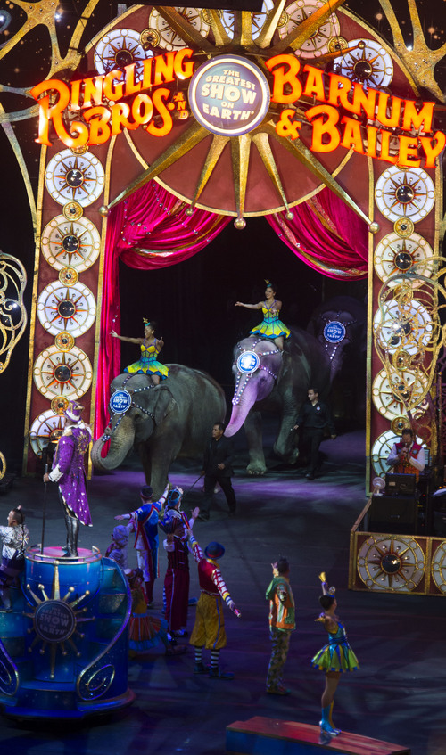 Steve Griffin  |  The Salt Lake Tribune

Elephants parade around the arena during opening night of the Ringling Bros. Barnum & Bailey Circus in Salt Lake City, Wednesday, September 24, 2014.