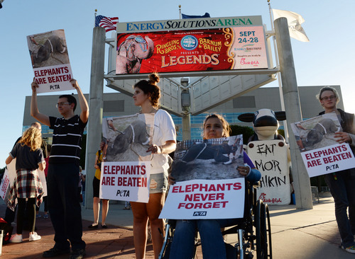 Steve Griffin  |  The Salt Lake Tribune

Protesters from Animal Defenders International and Utah Animal Rights Coalition stand outside EnergySolutions Arena during opening night of the Ringling Bros. and Barnum & Bailey Circus in Salt Lake City, Wednesday, September 24, 2014. The groups are calling on the local community to stay away from the circus, saying the industry involves cruelty and suffering to animals.