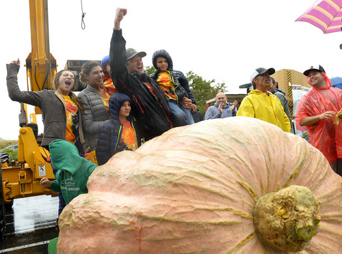Leah Hogsten  |  The Salt Lake Tribune
Matt McConkie pumps his fist in celebration with his family, wife Nicole and children Jane, Eli, Hyrum and Walt after setting the new state record with his winning giant pumpkin at 1,731 pounds. The 10th Annual Giant Pumpkin Weigh Off at Thanksgiving Point, Saturday, September 27, 2014.