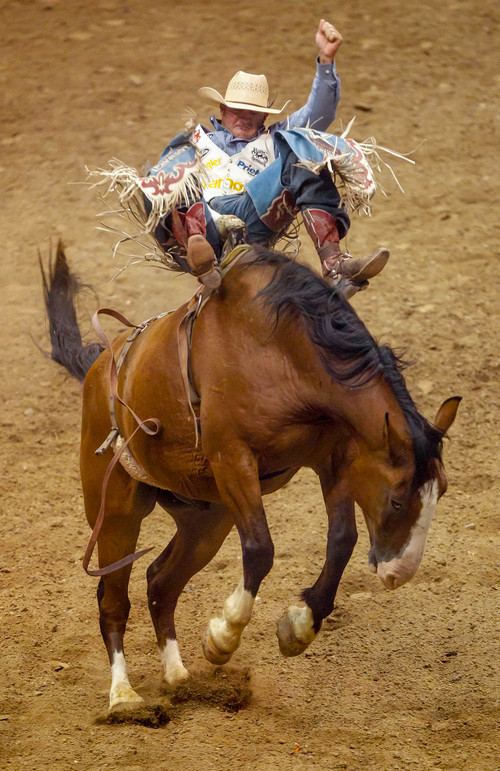 Trent Nelson  |  The Salt Lake Tribune
Kaycee Feild competing in Championship Bareback Riding at the Days of '47 Rodeo at EnergySolutions Arena in Salt Lake City Saturday July 20, 2013.