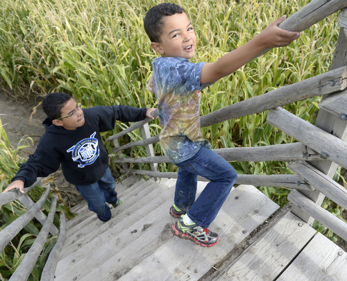 Al Hartmann  |  The Salt Lake Tribune
Brothers Marcus and Wesley Haston hike to the top a viewing tower at the state's original corn maze.  It returns to Cornbelly's at Thanksgiving Point for its 19th season on Oct. 3. The 8-acre maze pays tribute to the 75th anniversary of the "Wizard of Oz" movie