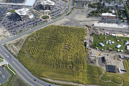 Al Hartmann  |  The Salt Lake Tribune
The state's original corn maze returns to Cornbelly's at Thanksgiving Point for its 19th season on Oct. 3. The 8-acre maze pays tribute to the 75th anniversary of the "Wizard of Oz" movie.