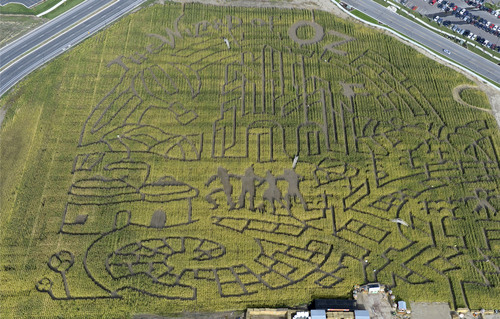 Al Hartmann  |  The Salt Lake Tribune
The state's original corn maze returns to Cornbelly's at Thanksgiving Point for its 19th season on Oct. 3. The 8-acre maze pays tribute to the 75th anniversary of the "Wizard of Oz" movie.