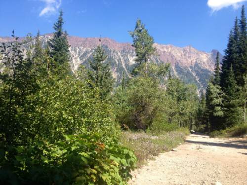 Marissa Lang  |  The Salt Lake Tribune
Views on the Red Pine Lake trail in Little Cottonwood Canyon.