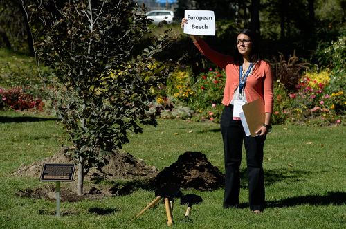 Francisco Kjolseth  |  The Salt Lake Tribune
Organizer Melissa Jenkins holds a sign representing one of four trees to be planted during a ceremony at the International Peace Gardens in Salt Lake City, on Sunday, Oct. 5, to commemorate the International Union of Forest Research Organizations (IUFRO) 24th World Congress, which kicks off this weekend. Four trees were planted as a gift to the host city during the ceremony, which is an IUFRO tradition -- Cedar of Lebanon, Pinyon pine, American chestnut and European beech.