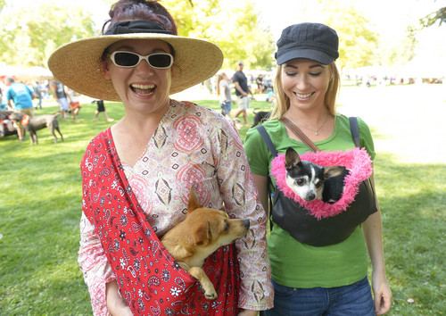 Leah Hogsten  |  The Salt Lake Tribune
l-r For the love of their babies, Kelli Baker and Jennifer Anderson made carriers for their pups Steve (left) and April Barbie Sparkle (right) at Best Friends Animal Society's Strut Your Mutt annual fundraiser at Liberty Park helps to save the lives of homeless dogs and cats, September 13, 2014.