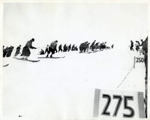 Tribune file photo

Competitors pull themselves to the top of Ecker Hill during the National Amateur Ski Tournament on Feb. 21, 1937. The venue was a world class ski jumping venue and hosted a number of high profile competitions in the 1930s and 1940s.
