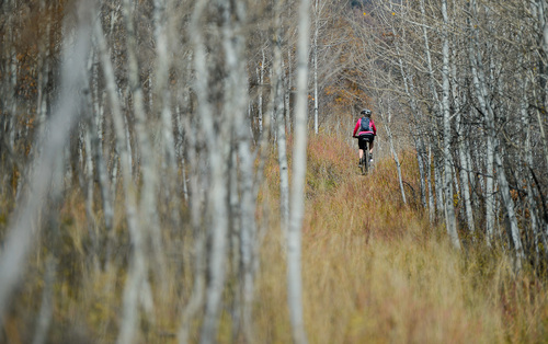 Francisco Kjolseth  |  The Salt Lake Tribune
Jennifer Chesley of Salt Lake rides her mountain bike up the Mormon Pioneer Trail in Mountain Dell Canyon on Friday, Oct. 17, 2014, during a beautiful Fall day.