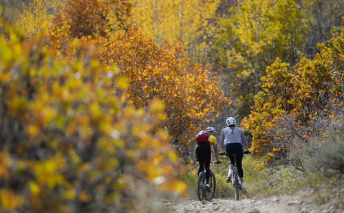 Francisco Kjolseth  |  The Salt Lake Tribune
Mountain bikers enjoy the Mormon Pioneer Trail in Mountain Dell Canyon on Friday, Oct. 17, 2014, during a beautiful Fall day.