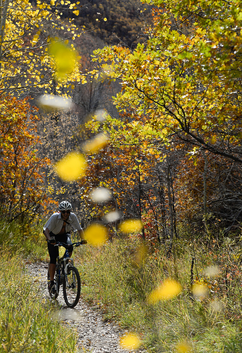 Francisco Kjolseth  |  The Salt Lake Tribune
Peter Donner of Salt Lake works on his 20,000 ft. vertical climbing plan for the week as he rides up the Mormon Pioneer Trail in Mountain Dell Canyon on Friday during a beautiful Fall day.