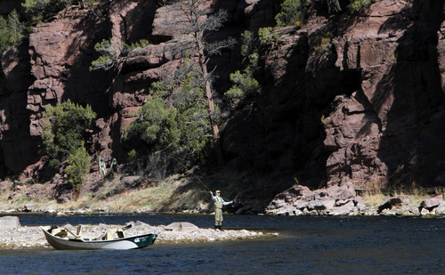 Francisco Kjolseth  |  Tribune file photo
Either fishing from a boat or traversing the hiking trail that follows the A section of the Green River to a favored fishing hole, anglers can access the emerald green waters that hold an abundance of trout.